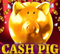 Cash Pig